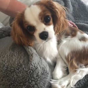 Meet your Posher, Shawn